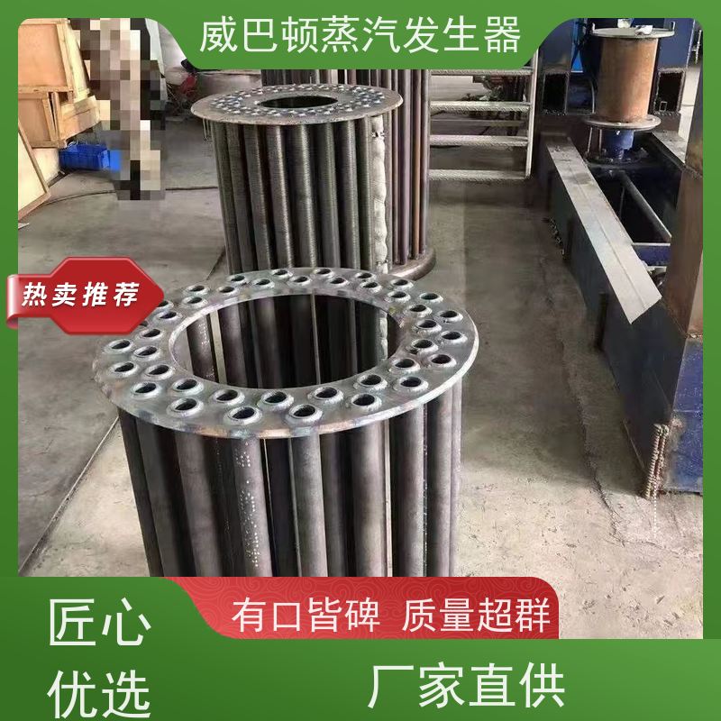  烘干熨烫 模块锅炉 水容积≤30L，合规又省心 泡沫厂