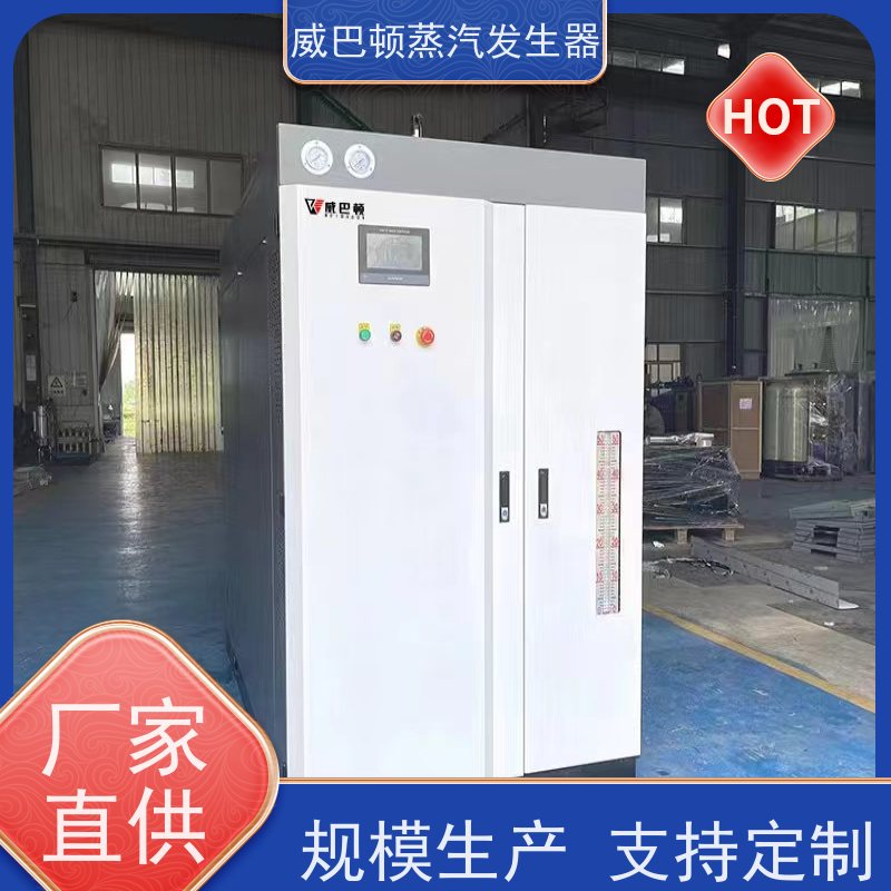  免备案 全不锈钢锅炉 水容积≤30L，合规又省心 食品厂