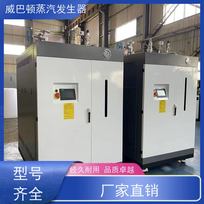  洗涤熨烫 天然气锅炉 水容积≤30L，合规又省心 造纸厂