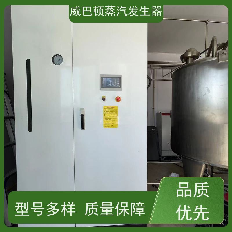  免登记 4T蒸汽发生器 热效率 101% 还省气 造纸厂
