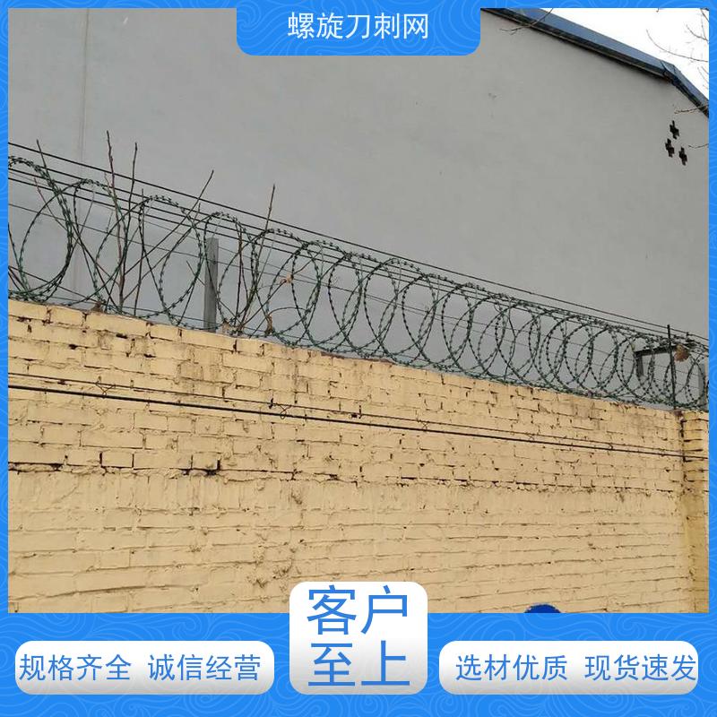 围墙防爬刺公路镀锌刀片刺绳蛇蝮式刺丝滚笼刺网安装
