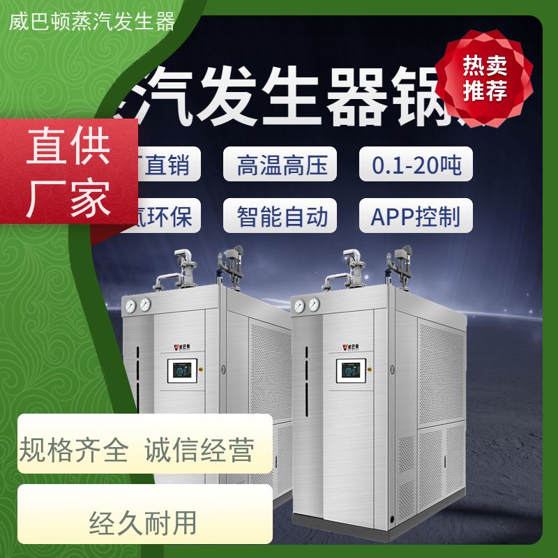  低氮冷凝 0.3T蒸汽发生器 热效率 101% 还省气 食品烘干