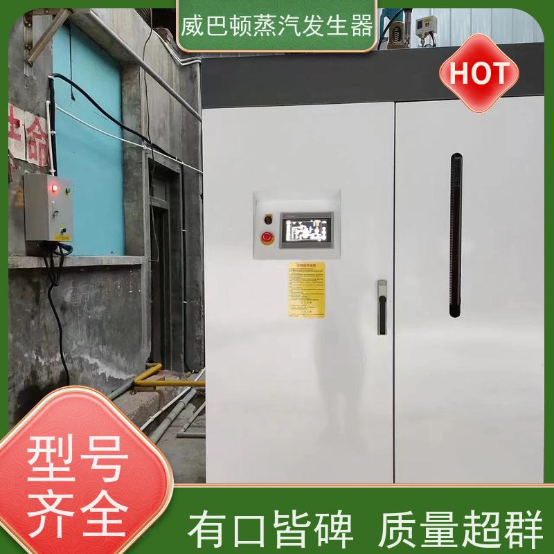  灭菌消毒 六吨蒸汽锅炉 多台并联省气稳供 橡胶厂