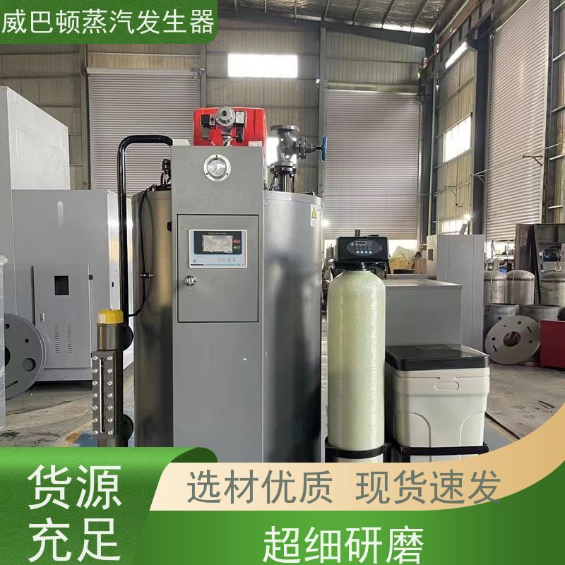  烘干熨烫 0.3T蒸汽发生器 热效率 101% 还省气 造纸厂