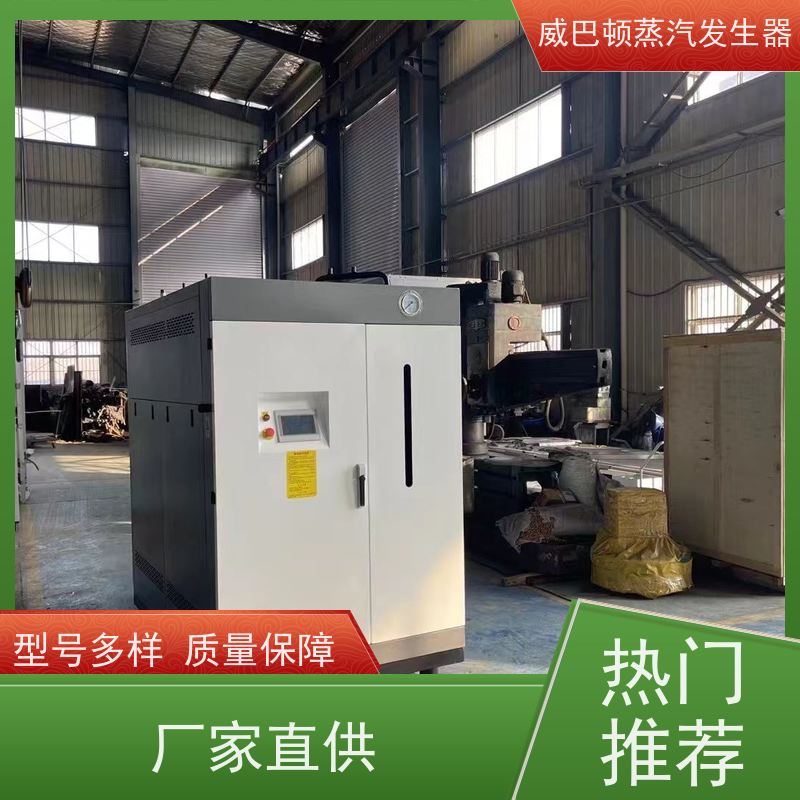 低氮冷凝 1吨天然气锅炉 热效率 101% 还省气 橡胶厂