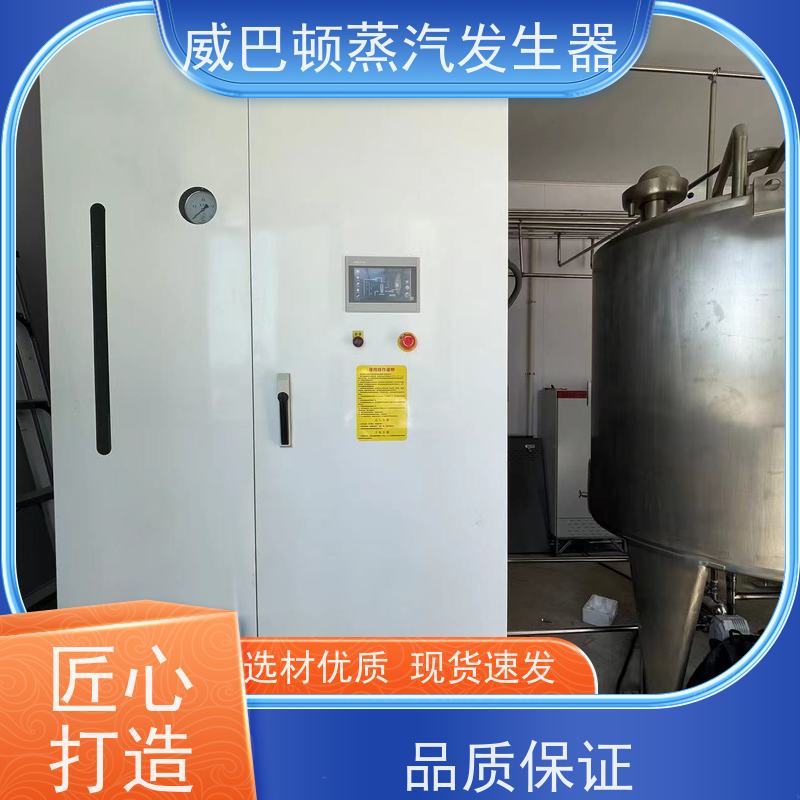  低氮冷凝 环保型锅炉 热效率 101% 还省气 造纸厂