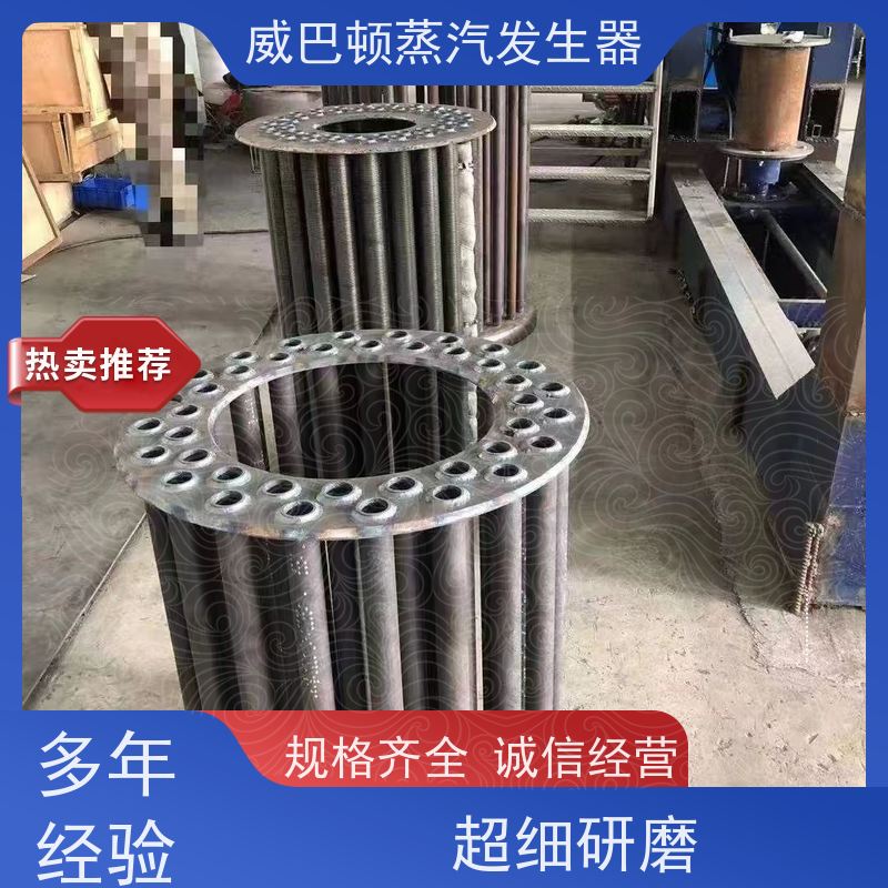  灭菌消毒 贯流蒸汽发生器 小车间也能轻松装 化工厂