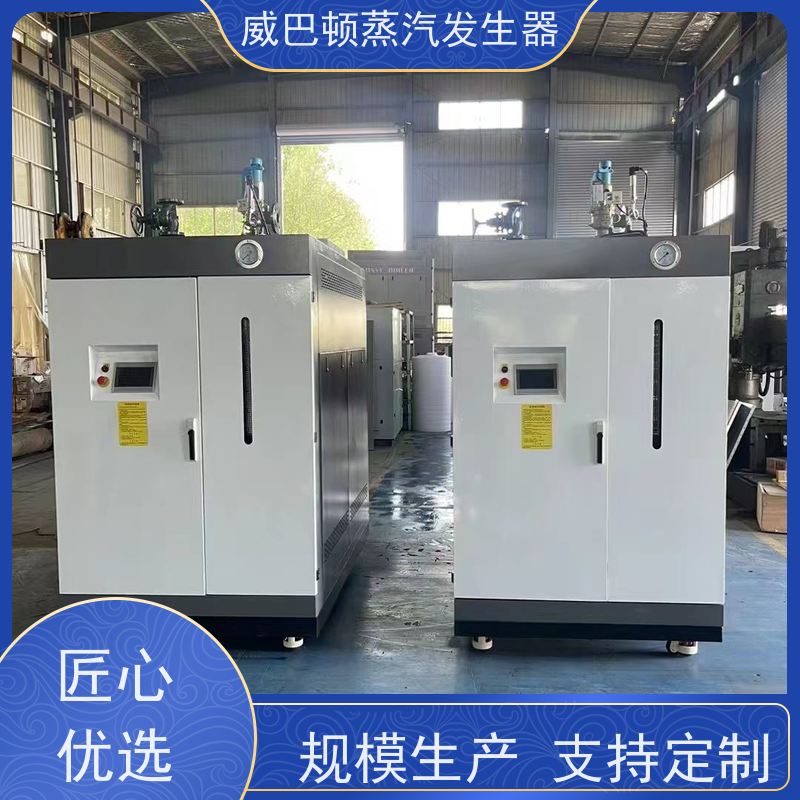  低氮冷凝 1吨燃气热水锅炉 蒸汽干度 97% 造纸厂