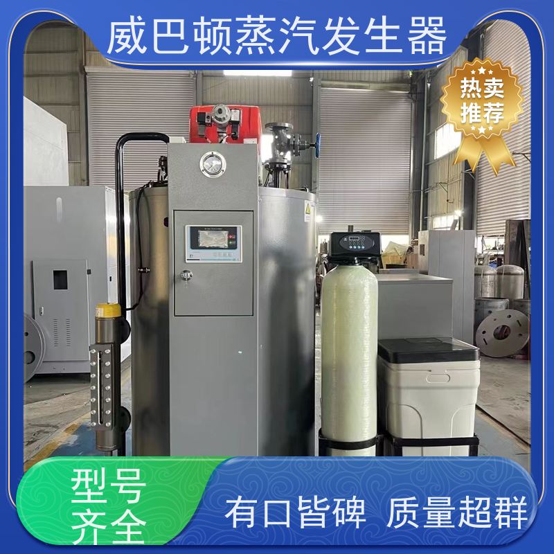  免备案 6T蒸汽发生器 水容积≤30L，合规又省心 制药厂
