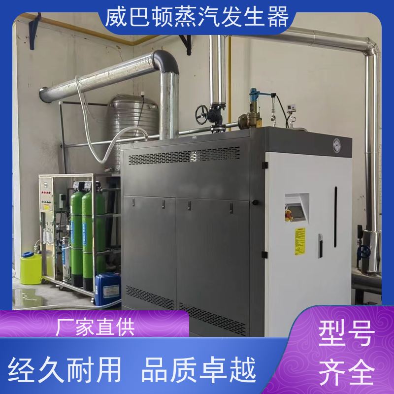  洗涤熨烫 贯流蒸汽发生器 水容积≤30L，合规又省心 豆腐腐竹加工厂
