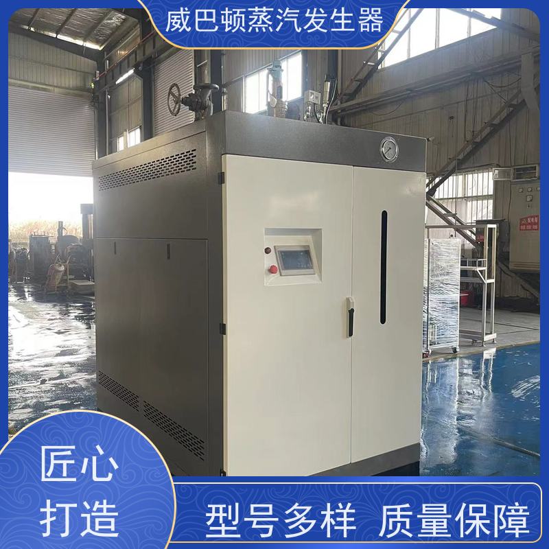  低氮冷凝 液化气蒸汽发生器 体积小一半全 造纸厂