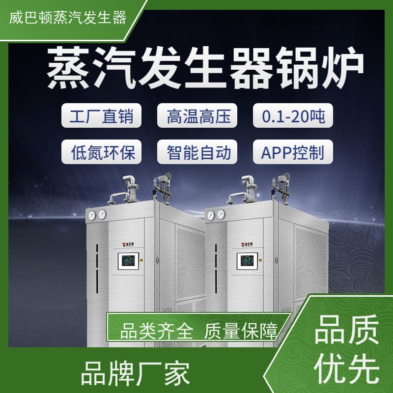 灭菌消毒 10吨天然气锅炉 体积小一半全 化工厂