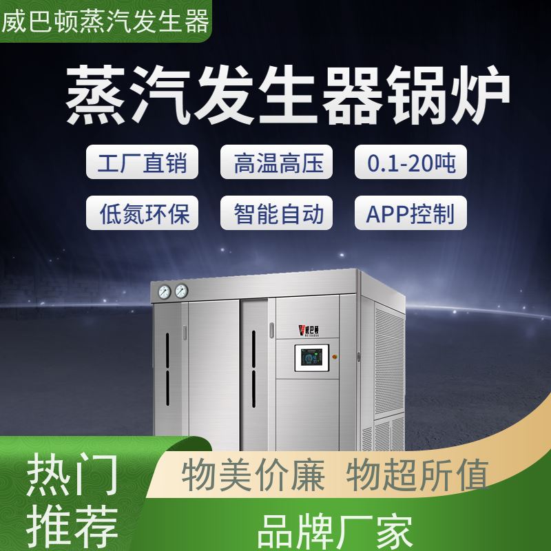  新型国标 工业蒸汽发生器 多台并联省气稳供 化工厂