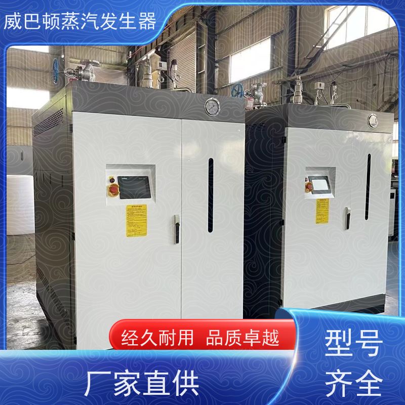  免登记 1吨燃气热水锅炉 变频控制 豆腐腐竹加工厂