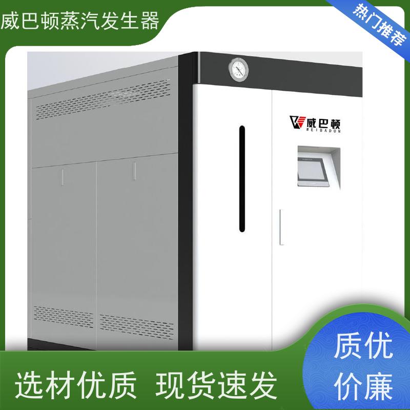  节能环保 天然气锅炉设备 热效率 101% 还省气 食品厂