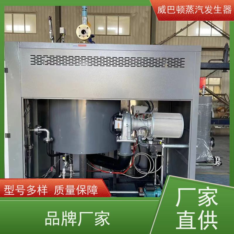  节能环保 2吨蒸汽发生器 热效率 101% 还省气 大棚恒温