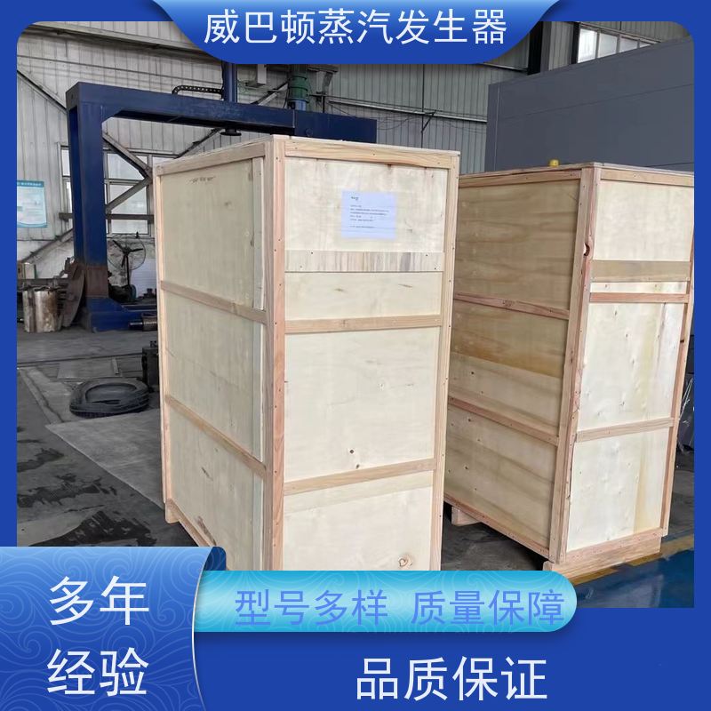  新型国标 新能源环保锅炉 操作简单 混凝土养护