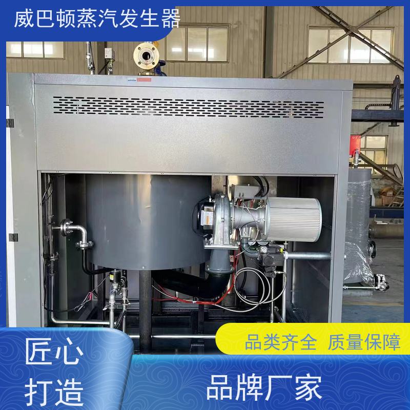  节能环保 食品级蒸汽发生器 水容积≤30L，合规又省心 造纸厂