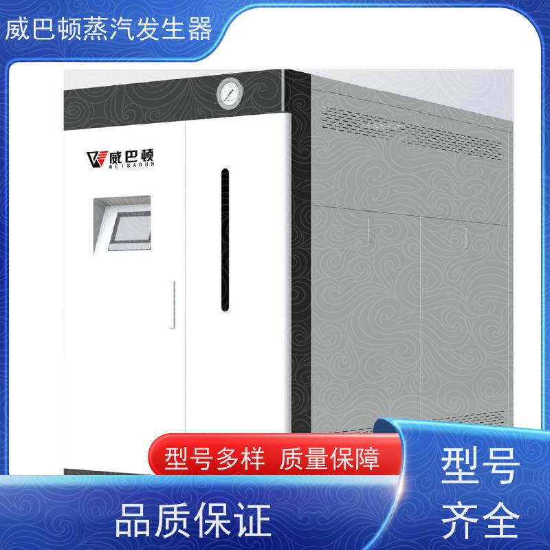  节能环保 4T蒸汽发生器 多台并联省气稳供 混凝土养护