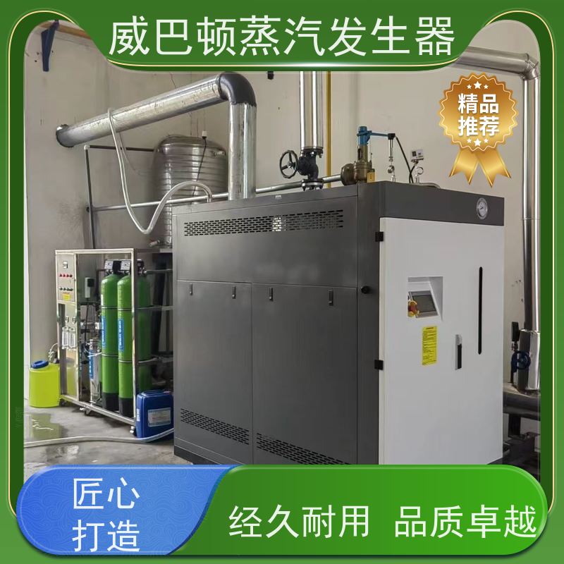 新型国标 4T蒸汽发生器 水容积≤30L，合规又省心 豆腐腐竹加工厂