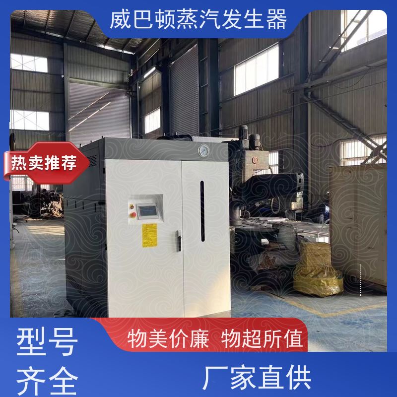  灭菌消毒 6T蒸汽发生器 热效率 101% 还省气 食品厂