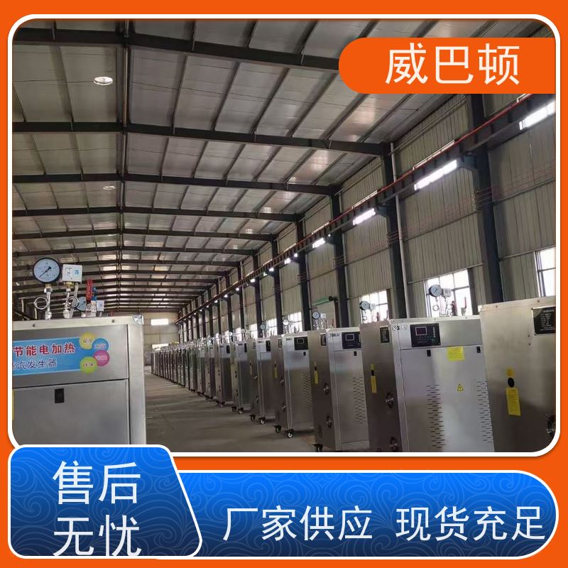  不锈钢材质 48KW电蒸汽发生器 省电 15% 超压保护