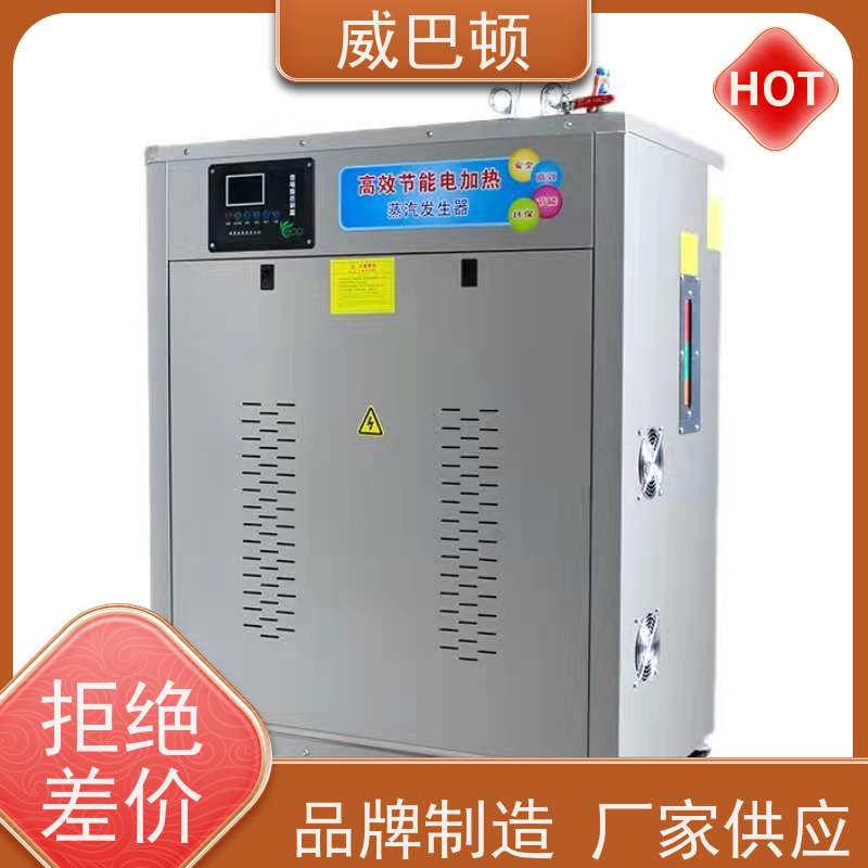  化工生产 24KW电蒸汽发生器 不锈钢材质 免备案