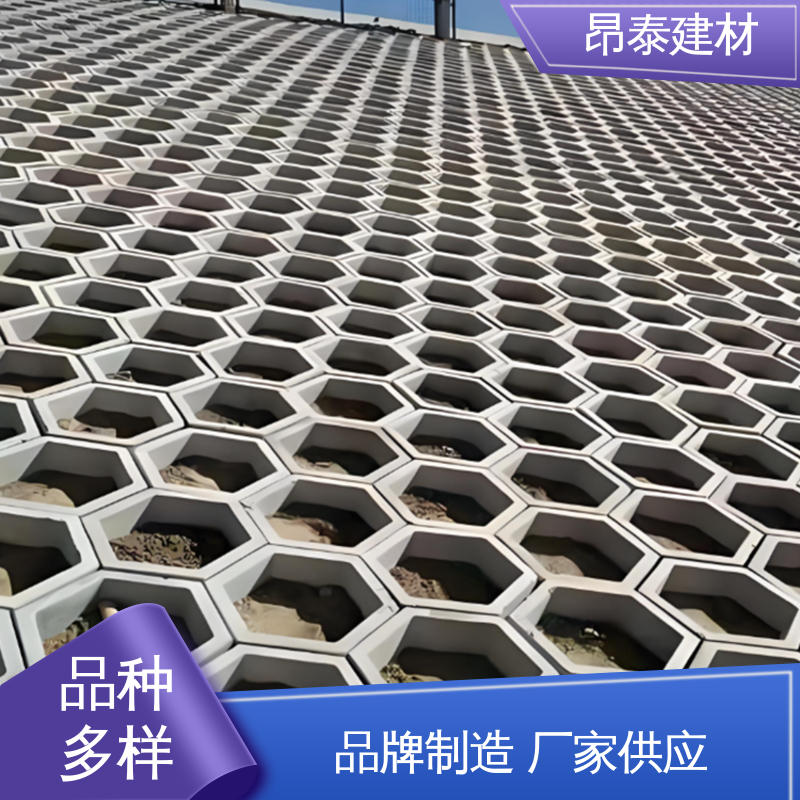 实力商家 坚固牢靠 六棱护坡砖 实心水泥道路砖 承压能力强