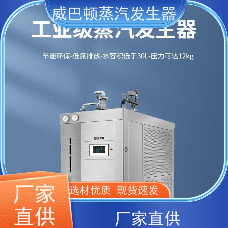  烘干熨烫 模块锅炉 多台并联省气稳供 巴氏消毒