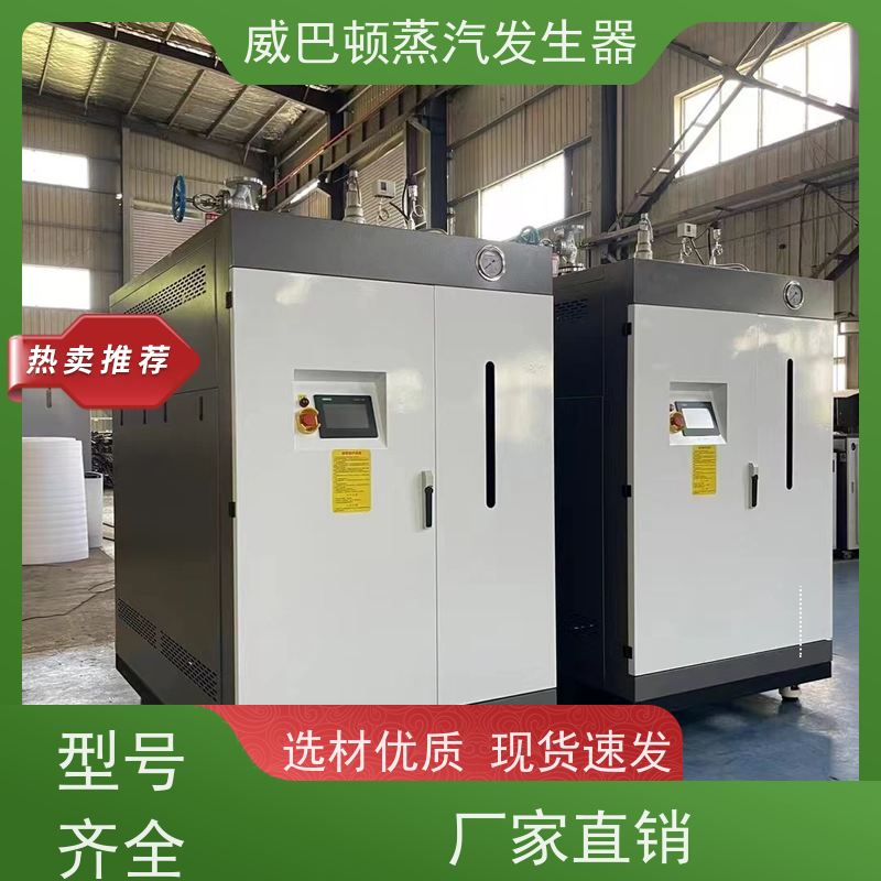  灭菌消毒 10T蒸汽发生器 多台并联省气稳供 混凝土养护