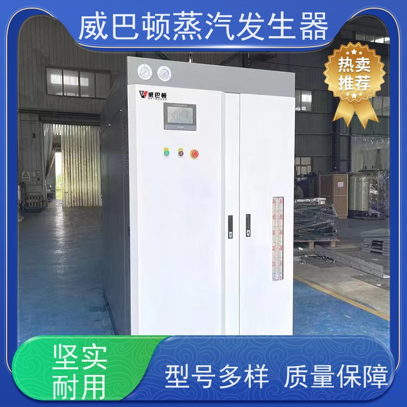 洗涤熨烫 节能蒸气炉 热效率 101% 还省气 高温高压