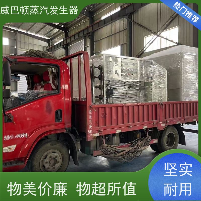  灭菌消毒 2吨蒸汽发生器 热效率 101% 还省气 智能控温