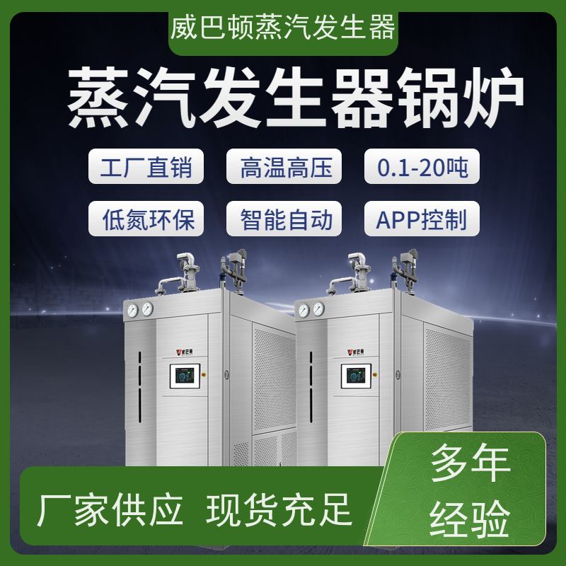  节能环保 10T蒸汽发生器 多台并联省气稳供 混凝土养护