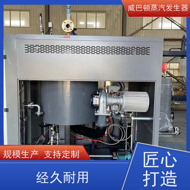  免登记 1吨天然气锅炉 蒸汽干度 97% 豆腐腐竹加工厂