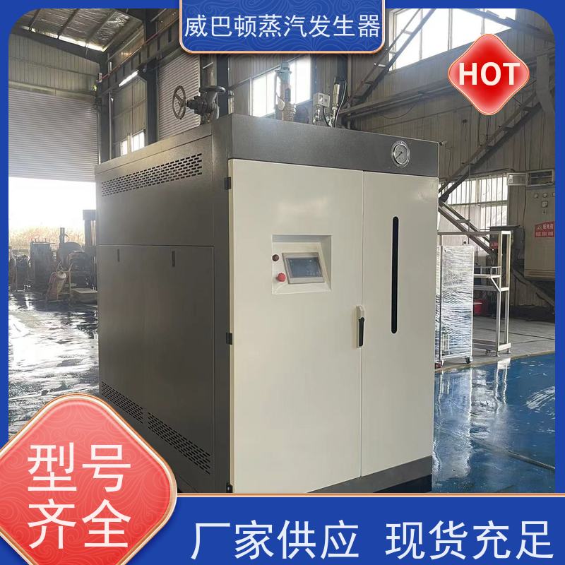  烘干熨烫 洗衣房锅炉 体积小一半全 混凝土养护