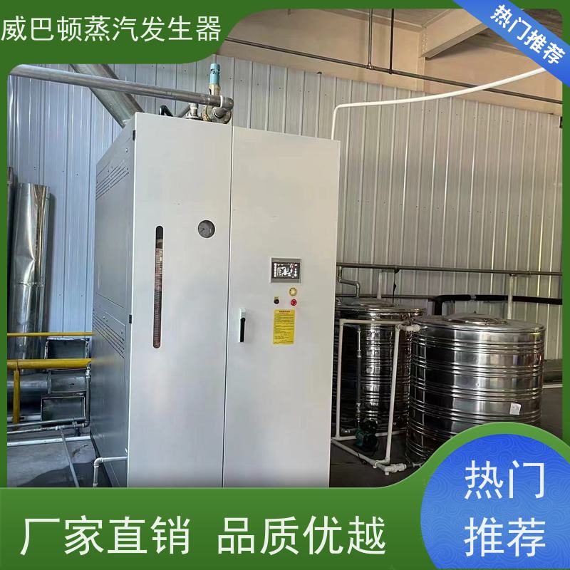  新型国标 燃气蒸汽发生器 水容积≤30L，合规又省心 巴氏消毒