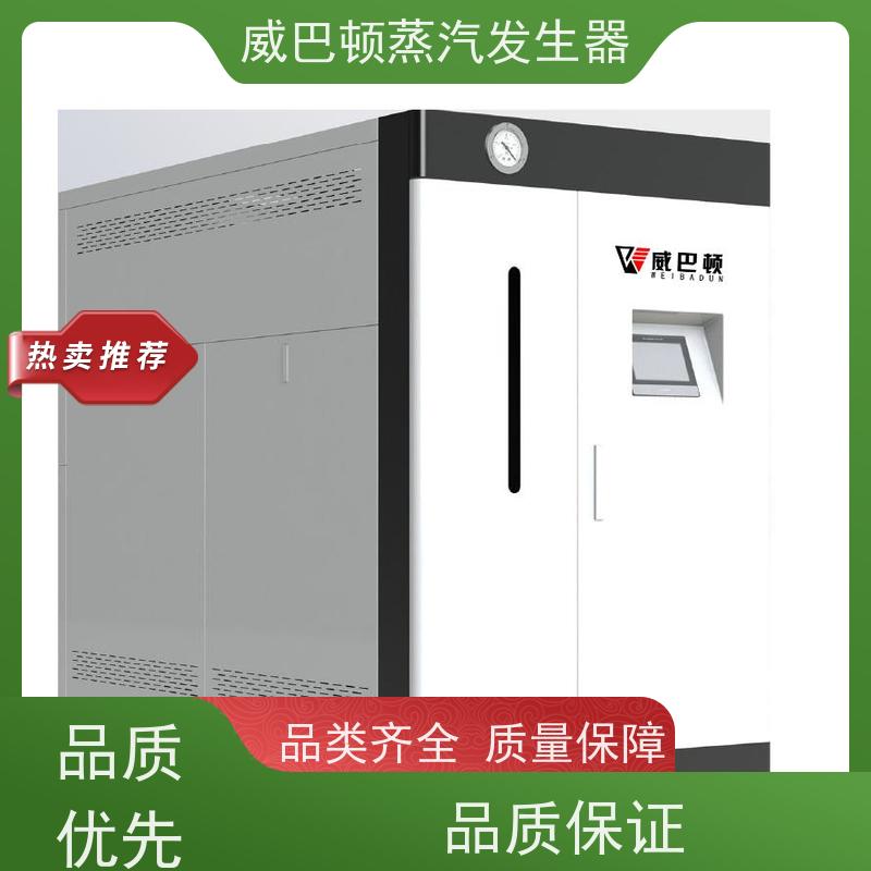  低氮冷凝 蒸汽发生器 水容积≤30L，合规又省心 橡胶厂