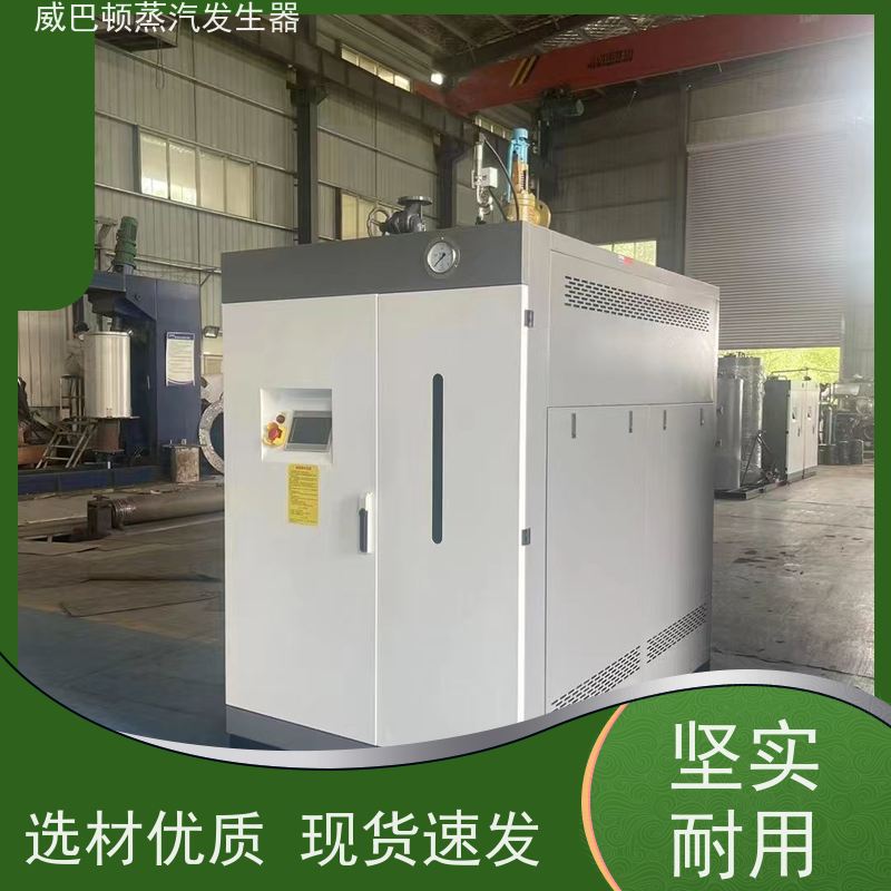  新型国标 不锈钢蒸汽发生器 体积小一半全 印染厂