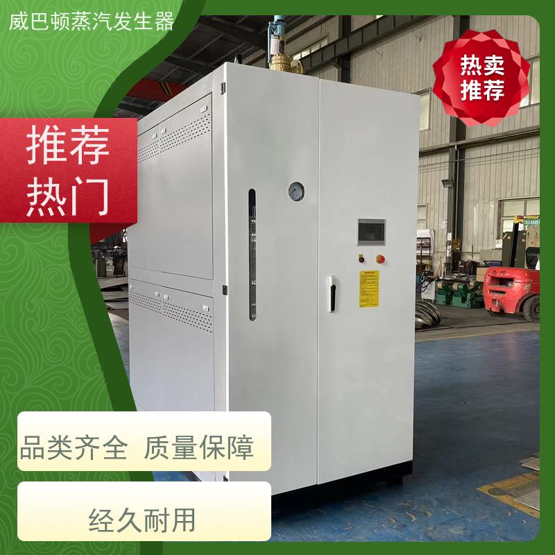  节能环保 2吨蒸汽发生器 多台并联省气稳供 泡沫厂