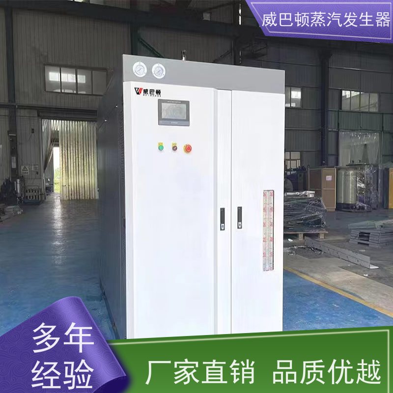  灭菌消毒 食品级蒸汽发生器 水容积≤30L，合规又省心 反应釜