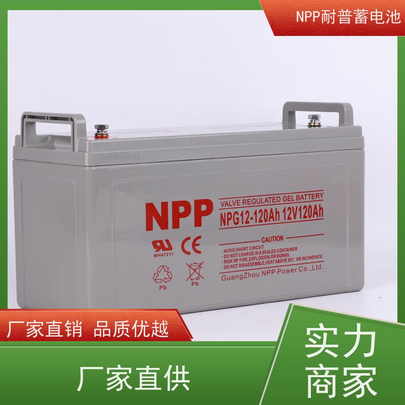 UPS电源电池 NPG12-200 适用机房储能蓄电 质保三年