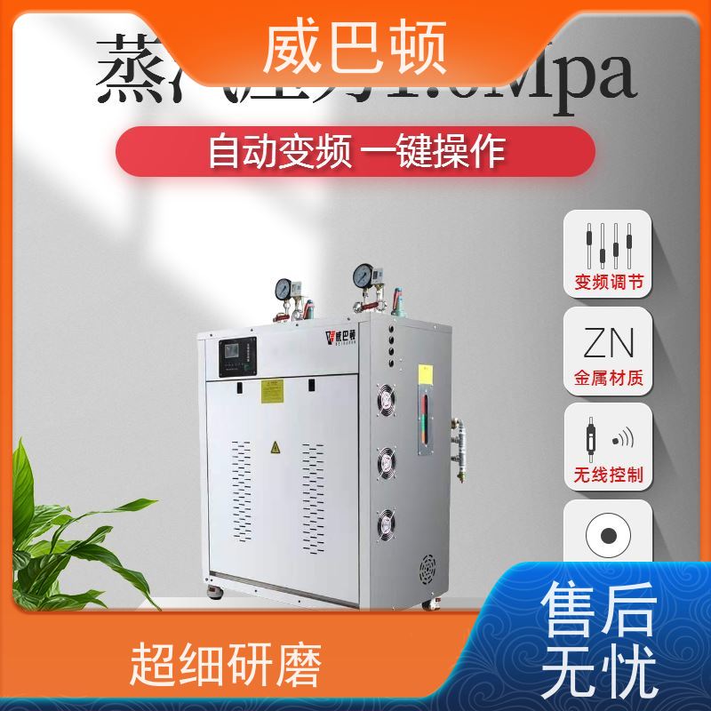  洁净 便宜的电蒸汽发生器 科研实验室 高压7公斤