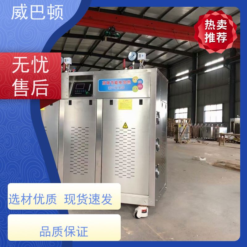  1吨电蒸汽锅炉 科研实验室 超温保护 不锈钢材质