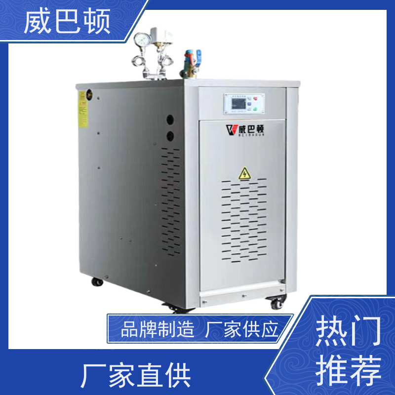  高温蒸汽杀菌 蒸汽干度 97% 电加热锅炉 304不锈钢内胆