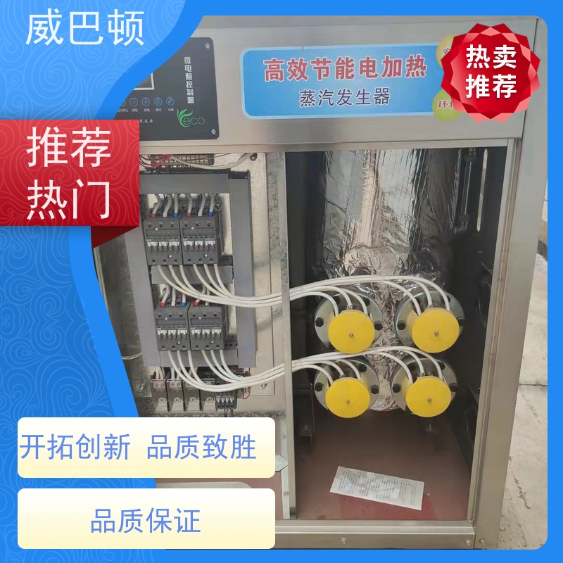  1吨电蒸汽锅炉 304 不锈钢内胆 洗涤服务行业 超压保护