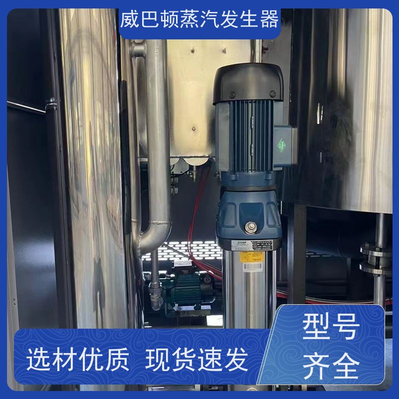  不锈钢 天然气锅炉设备 多台并联省气稳供 混凝土养护