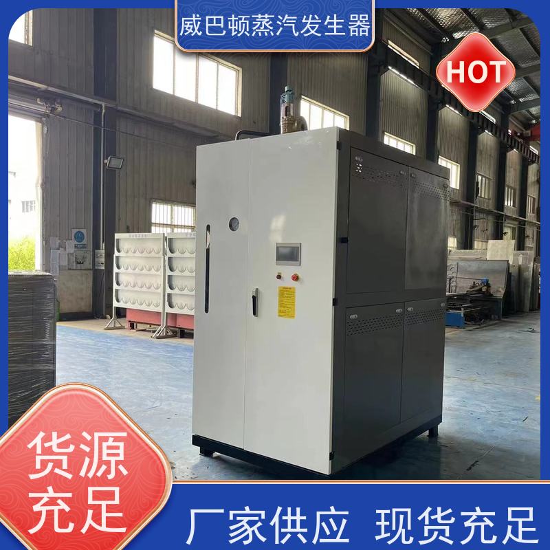  低氮冷凝 不锈钢蒸汽发生器 体积小一半全 大棚恒温