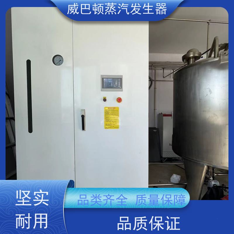  低氮冷凝 1吨天然气锅炉 水容积≤30L，合规又省心 混凝土养护