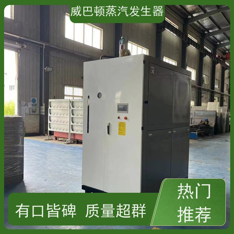  节能环保 2吨蒸汽发生器 多台并联省气稳供 橡胶厂