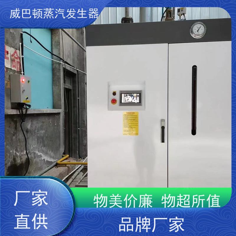  洗涤熨烫 8T蒸汽发生器 水容积≤30L，合规又省心 化工厂